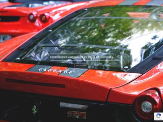 Détails : A la découverte du Rallye en voiture de collection pour entreprise 